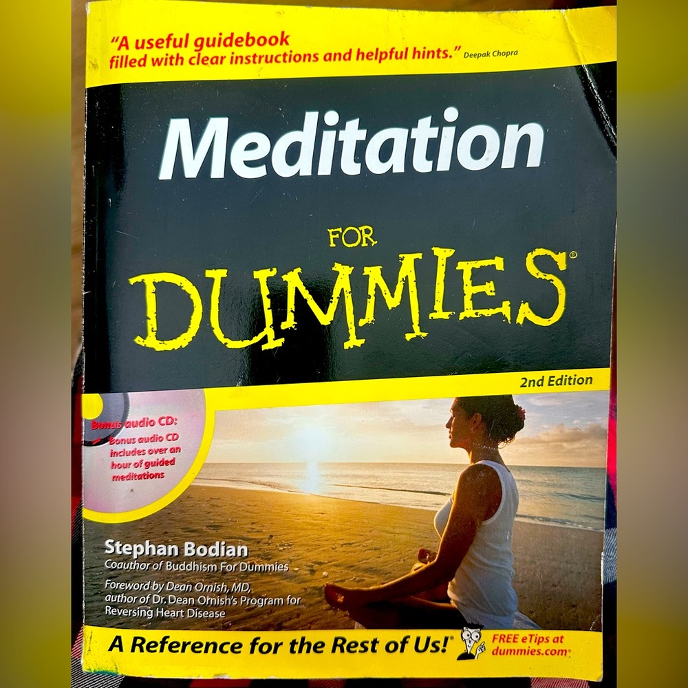 Meditation For Dummies Paperback Book